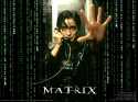 Matrix Reloaded 1024*768 WallPaper